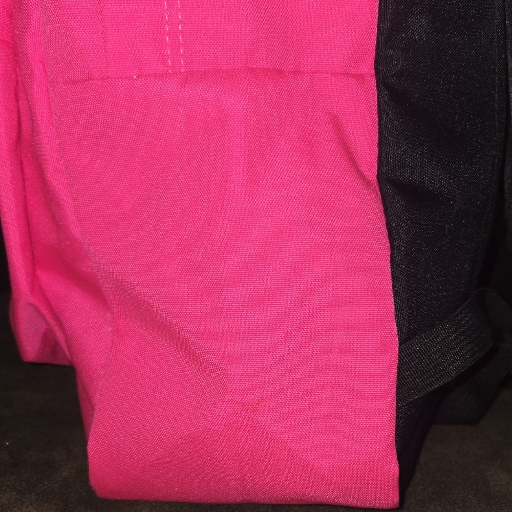 Jansport Vibrant Pink Backpack - Picture 3 of 11